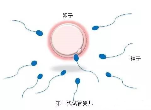 实验室 Fig.02